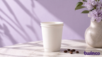 Vaso Carton Doble Pared 62Mm – Twinco, empaque desechable personalizado al mayoreo